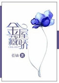 金屋藏骄广告素材
